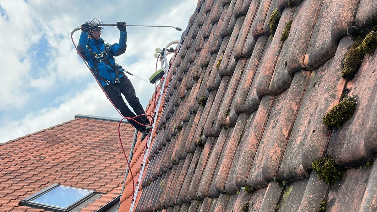 Démoussage de toiture avant l'automne en Alsace, tuiles couvertes de mousse